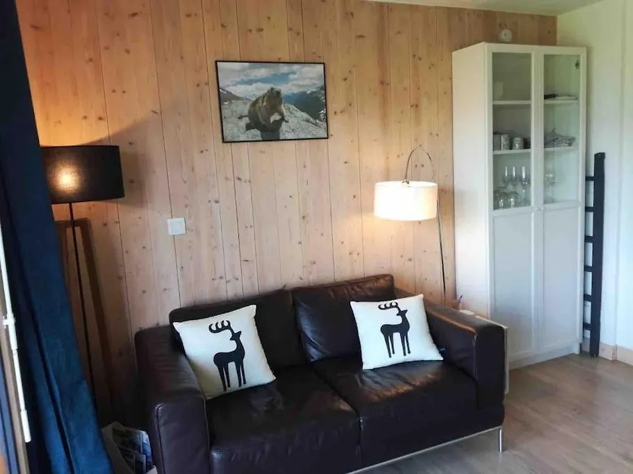 La Marmotte: Vue Mont Blanc, Terrasse, Parking Apartment Combloux 0*,