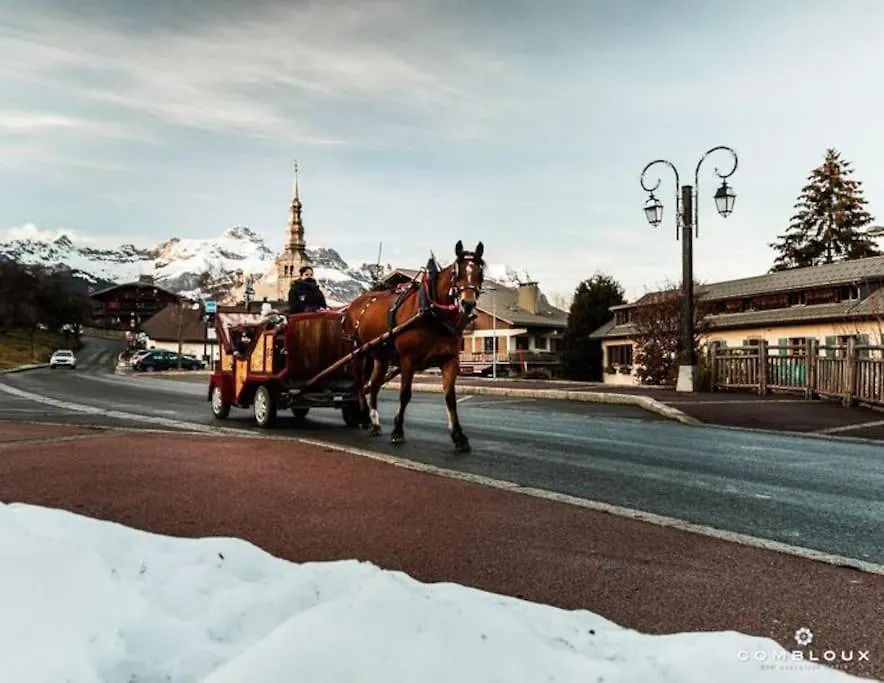 La Marmotte: Vue Mont Blanc, Terrasse, Parking Apartment Combloux